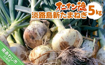 【オニオン魂】 淡路島新たまねぎ　5kg　◆配送３月上旬～