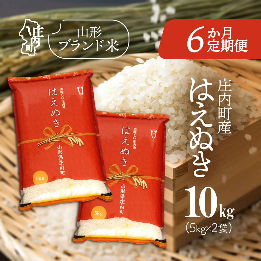 【6か月定期便】庄内米 はえぬき 10kg 毎月 5kg×2袋 令和7年産 / 令和8年産 余目産 あまるめ ブランド米 米 山形 庄内平野 亀の尾発祥の地 庄内 お米の定期便【7月中旬発送/入金期限：2026年6月25日】