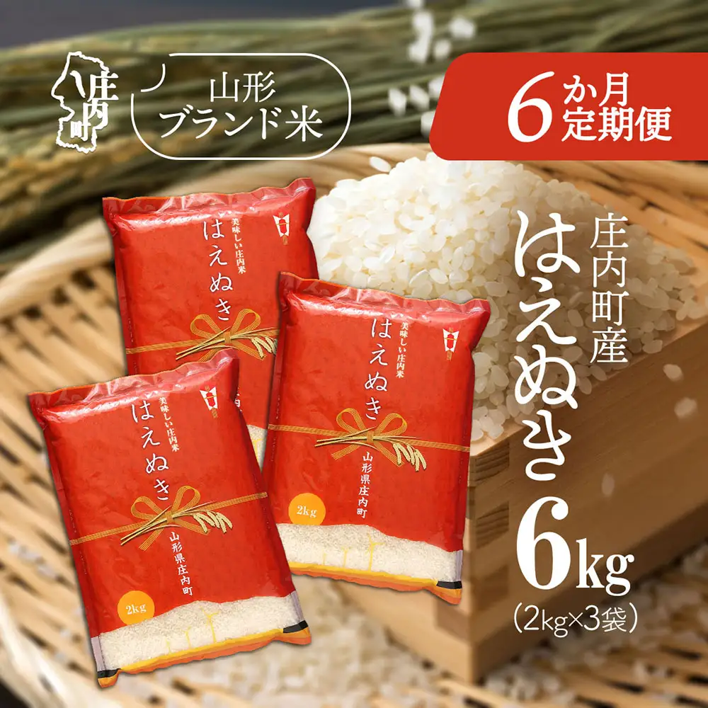 【6か月定期便】庄内米 はえぬき 6kg 毎月 2kg×3袋 令和7年産 / 令和8年産 余目産 あまるめ ブランド米 米 山形 庄内平野 亀の尾発祥の地 庄内 お米の定期便【7月中旬発送/入金期限：2026年6月25日】