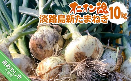 【オニオン魂】 淡路島新たまねぎ　10kg　◆配送３月上旬～