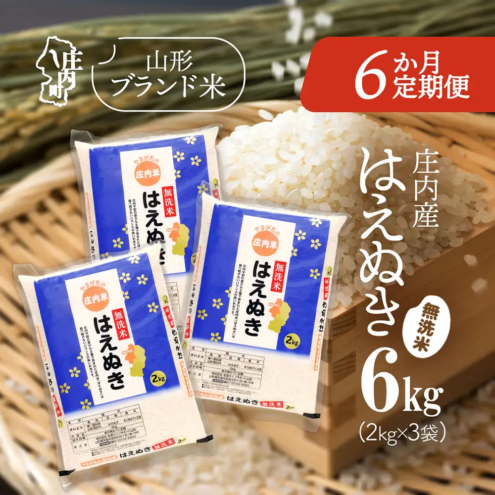 【6か月定期便】庄内米 はえぬき 無洗米 6kg 毎月 2kg×3袋 令和7年産 / 令和8年産 余目産 あまるめ ブランド米 米 山形 庄内平野 亀の尾発祥の地 庄内 お米の定期便【7月中旬発送/入金期限：2026年6月25日】