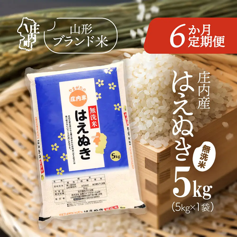【6か月定期便】庄内米 はえぬき 無洗米 5kg 毎月 5kg×1袋 令和7年産 / 令和8年産 余目産 あまるめ ブランド米 米 山形 庄内平野 亀の尾発祥の地 庄内 お米の定期便【7月中旬発送/入金期限：2026年6月25日】