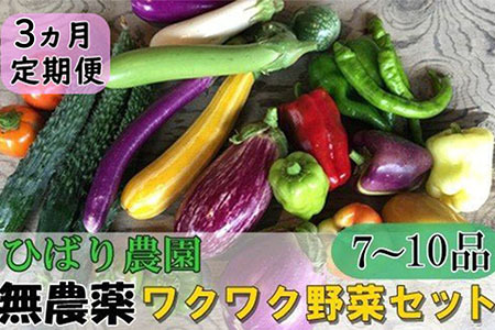 【定期便3回】ひばり農園の無農薬ワクワク野菜セット 【2151】