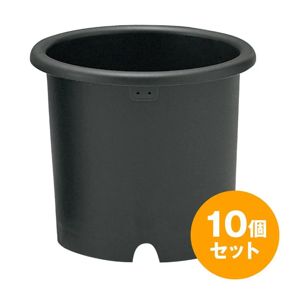 菊鉢10号　10個セット