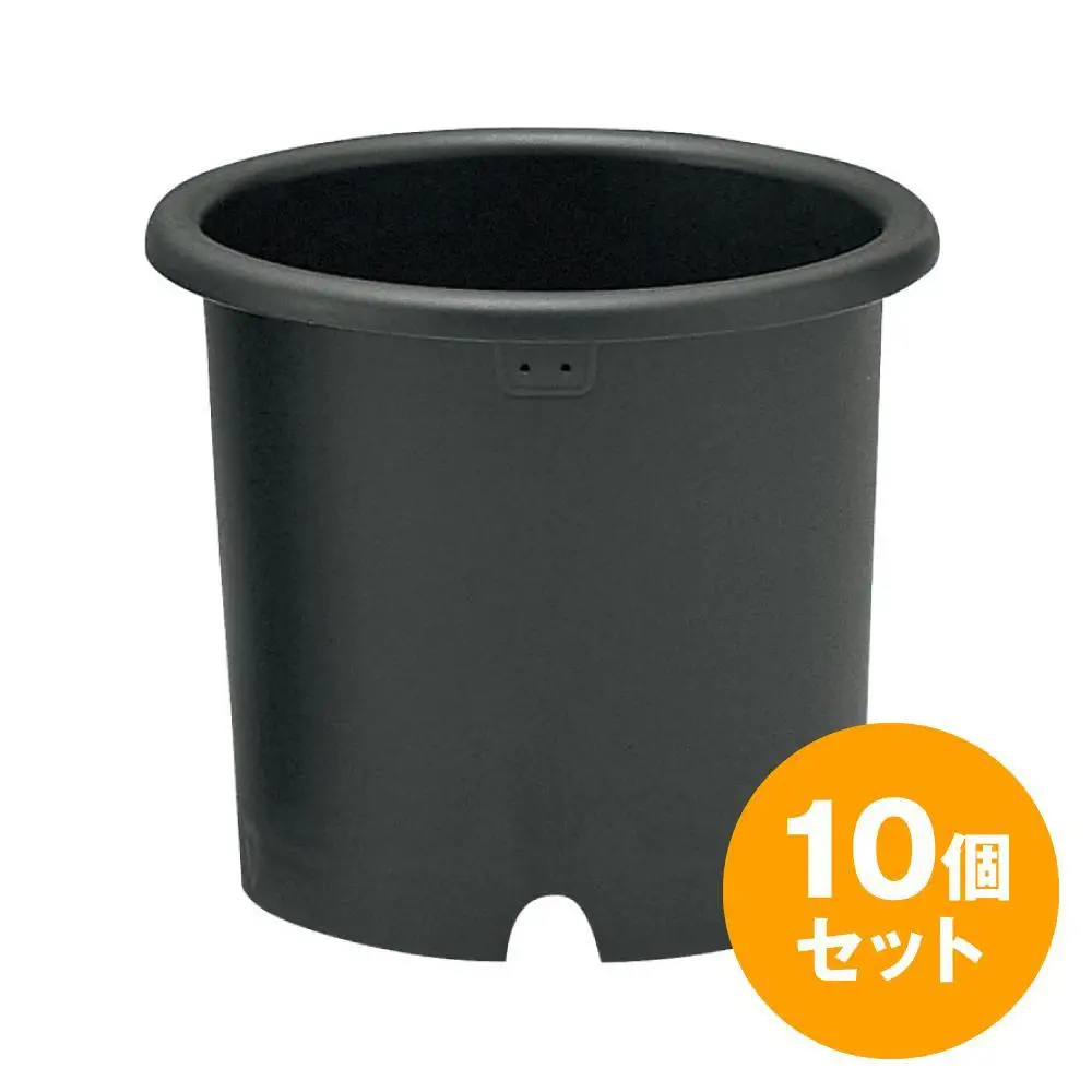 菊鉢9号　10個セット