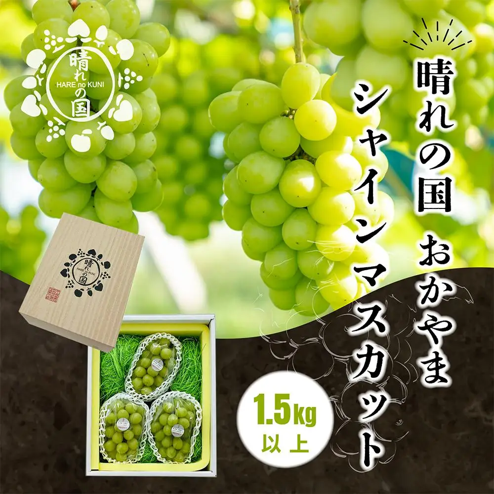 【先行予約 秋季 2026年9月上旬発送～】岡山県産シャインマスカット 1.5kg（2～3房）【021-a020】