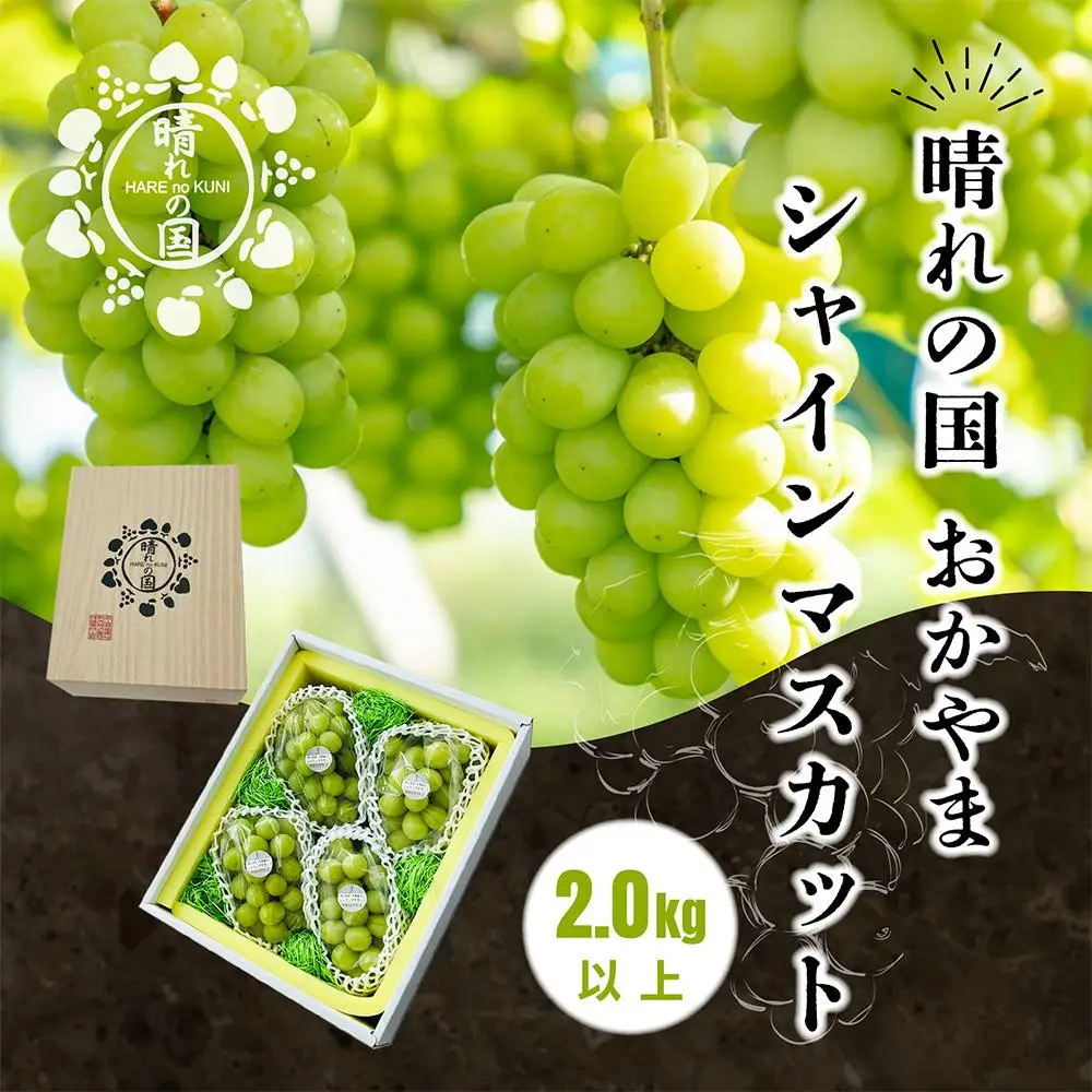 【先行予約 秋季 2026年9月上旬発送～】岡山県産シャインマスカット 2.0kg（3～4房）【021-a021】