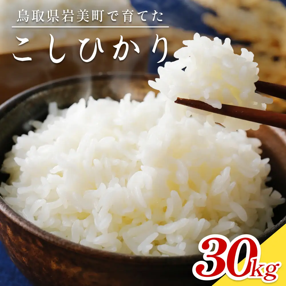 令和７年産岩美のコシヒカリ 30kg 玄米｜鳥取 岩美 お米【31017】
