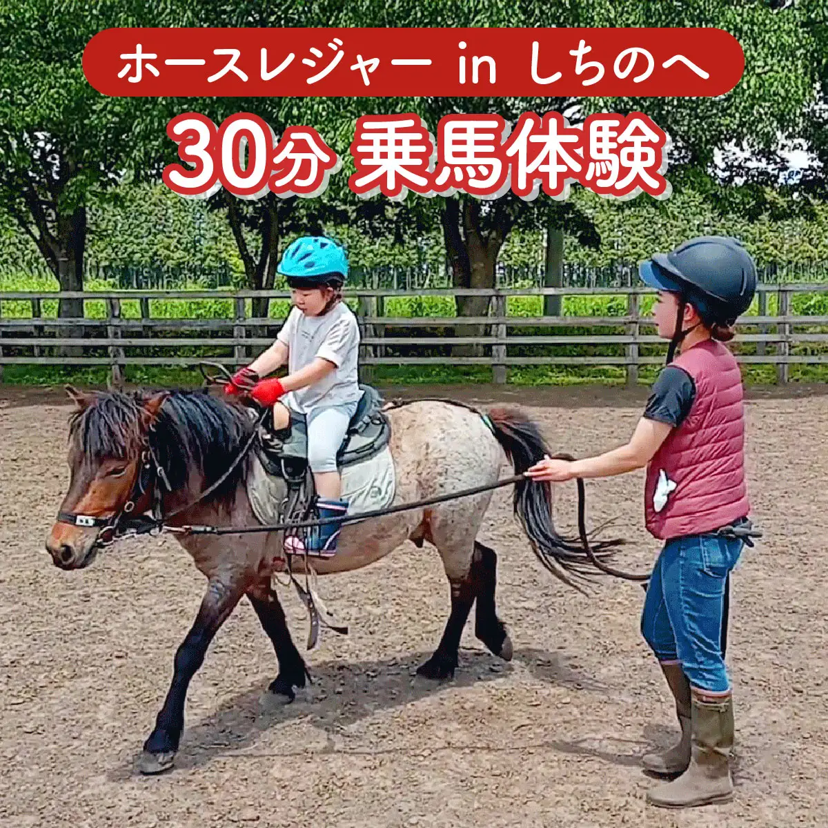ホースレジャーinしちのへ 30分乗馬体験【乗馬 体験 青森県 七戸町】【02402-0346】