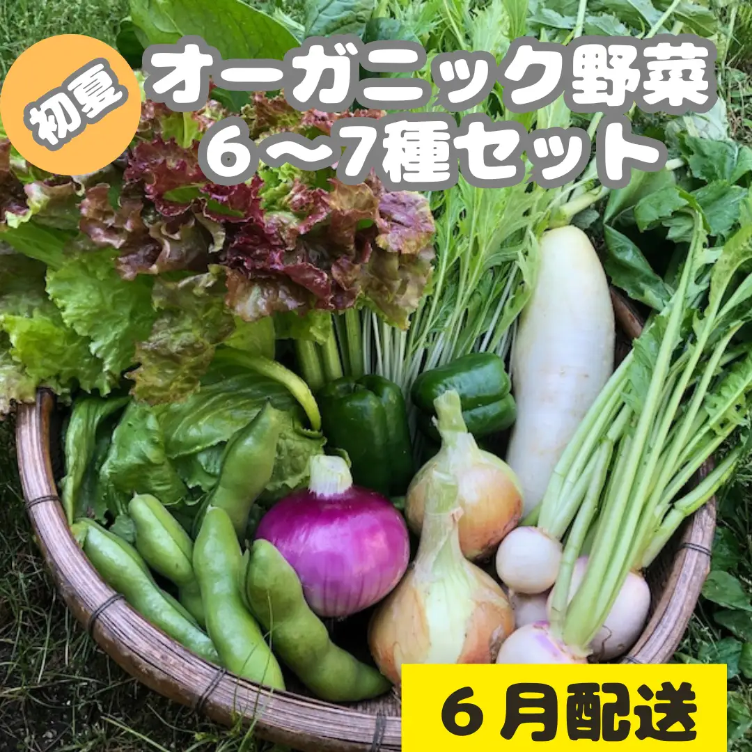 【先行予約：6月配送】＜てんとうむしばたけ＞初夏のオーガニック野菜セット　有機野菜6～7種前後