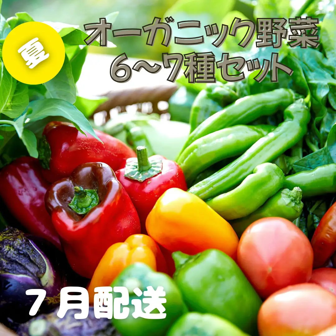 【先行予約：7月配送】＜てんとうむしばたけ＞夏のオーガニック野菜セット　有機野菜6～7種前後