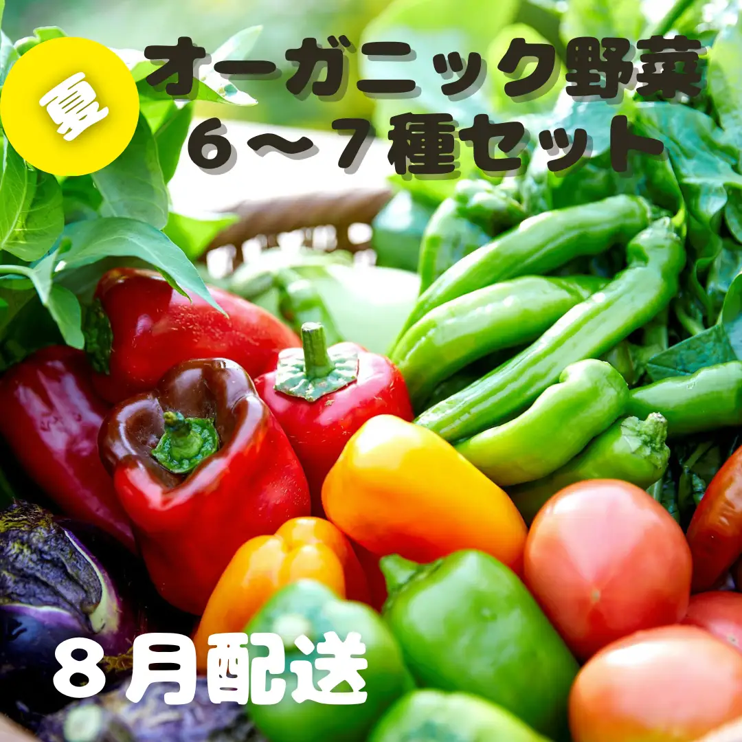 【先行予約：8月配送】＜てんとうむしばたけ＞夏のオーガニック野菜セット　有機野菜6～7種前後