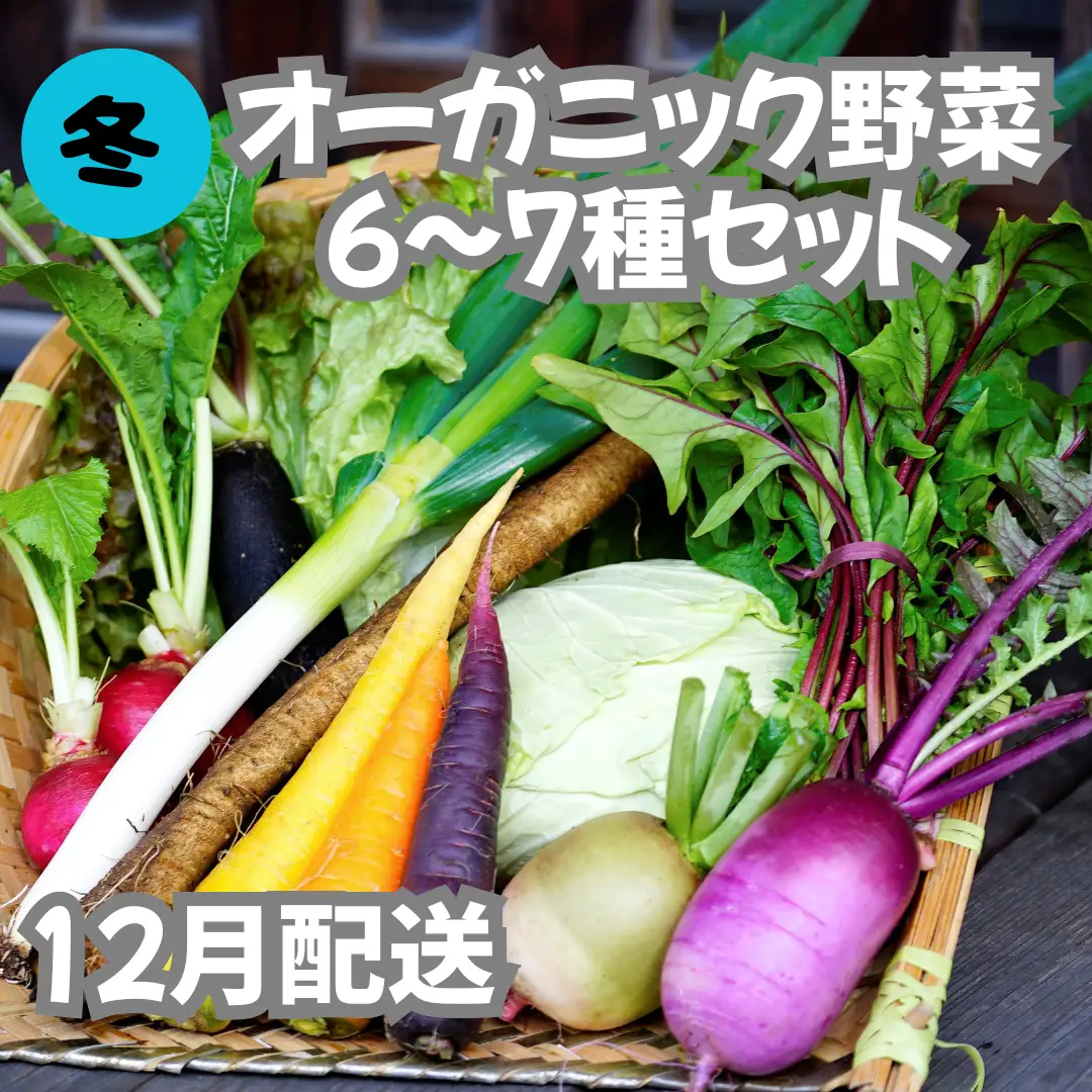 【先行予約：12月配送】＜てんとうむしばたけ＞冬のオーガニック野菜セット　有機野菜6～7種前後