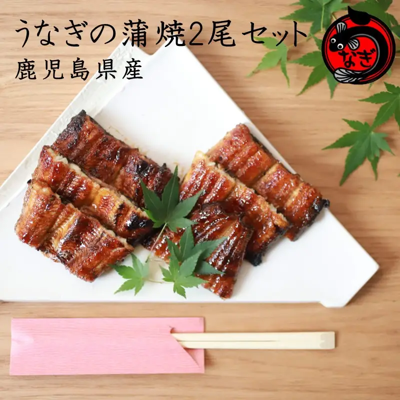 鹿児島産うなぎの蒲焼2尾セット【B7-032】