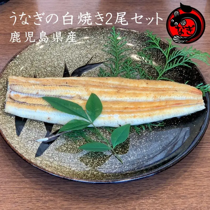 鹿児島産うなぎの白焼き2尾セット【B7-033】