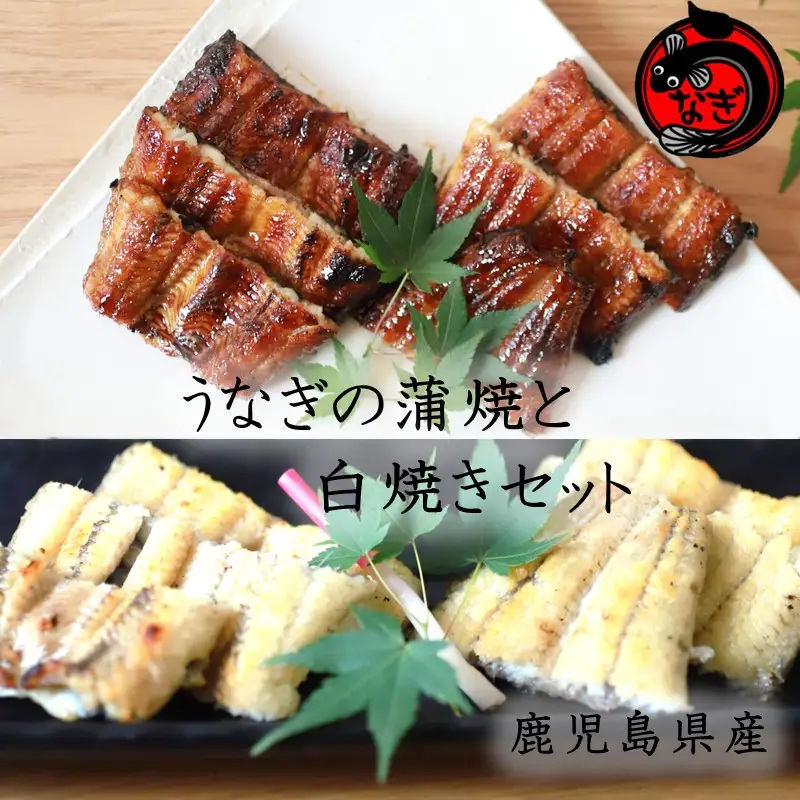 鹿児島産うなぎの蒲焼と白焼きセット 2尾【B7-034】