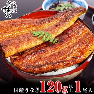 国産うなぎ蒲焼き120g1本セット(B1001-1)