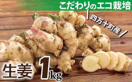 【予約受付】ミネラル豊富なエコ栽培の生姜1kg ／Fms-20 しょうが ジンジャー おかず 野菜 大容量