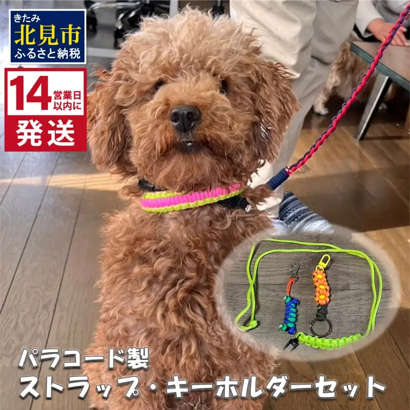 《14営業日以内に発送》パラコード製 ストラップ1個 キーホルダー2個 3点セット ( ペット 犬 小物 わんこ 手作り )【195-0004】
