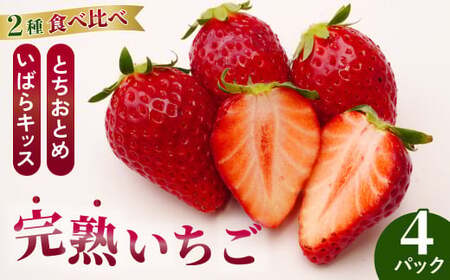 いちごグランプリ大賞受賞 完熟いちご4パック