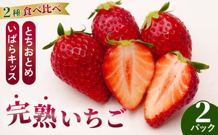 いちごグランプリ大賞受賞 完熟いちご2パック