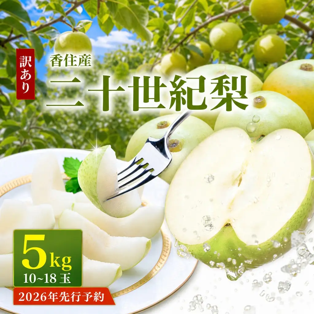 【先行予約】 2026年度産 梨 訳あり 二十世紀梨 5kg（10～18玉）サイズバラつき有り（L～5L）生産者応援商品 【令和8年9月上旬以降発送予定】 20世紀梨 フルーツ 果物  12-23