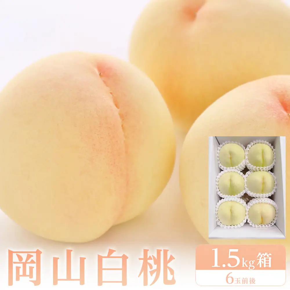 岡山白桃　約1.5kg（6玉前後）