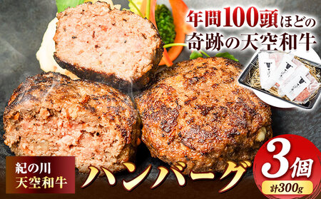 ハンバーグ 肉 黒毛和牛 ハンバーグ 天空和牛ハンバーグ 約300g (約100g×3個)《30日以内に出荷予定(土日祝除く)》有限会社松牛 和歌山県 紀の川市 熊野牛 紀の川天空和牛 惣菜 おかず