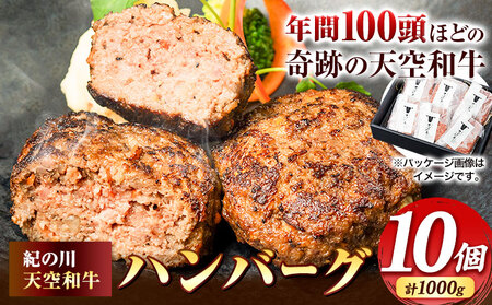 ハンバーグ 肉 黒毛和牛 ハンバーグ 天空和牛ハンバーグ 約1kg (約100g×10個) 《30日以内に出荷予定(土日祝除く)》有限会社松牛 和歌山県 紀の川市 熊野牛 紀の川天空和牛 惣菜 おかず