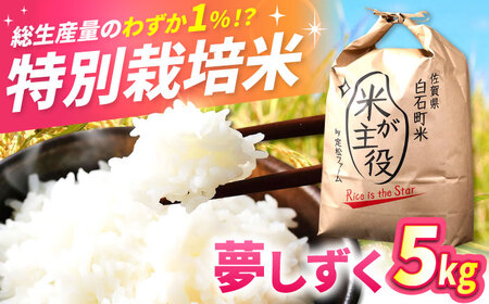 先行予約 令和8年産  夢しずく 白米 5kg / 米 [IBV003]