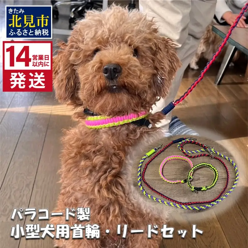 《14営業日以内に発送》小型犬用首輪 2個 リード 2本 4点セット ( ペット 犬 小物 わんこ 手作り 首輪 リード )【195-0006】