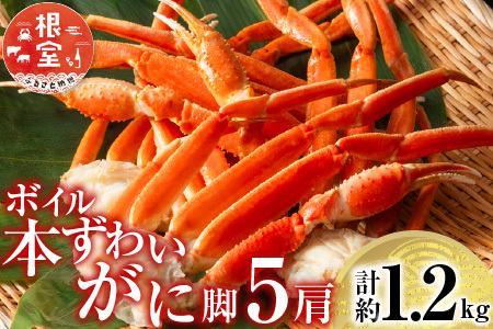 ボイル本ずわいがに脚5肩(計約1.2kg) A-11246