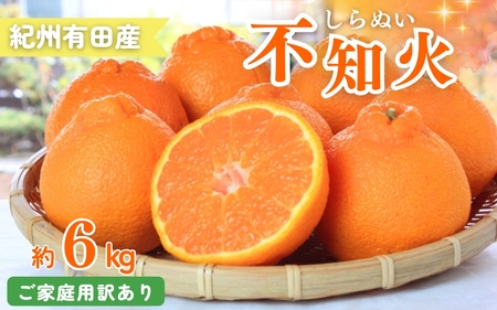 【訳あり・ご家庭用】紀州有田産不知火(しらぬひ) 約6kg 【予約】【2027年2月中旬頃〜3月中旬頃に順次発送予定(お届け日指定不可)】【Z-uot842A】