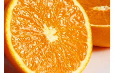 【訳あり・ご家庭用】紀州有田産清見オレンジ　約5kg 【2027年3月下旬頃〜2027年4月下旬頃に順次発送予定(お届け日指定不可)】【Z-uot863】