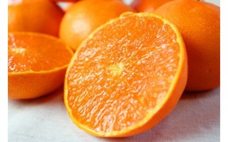 【訳あり・ご家庭用】ジューシー柑橘 せとか 約3kg【先行予約】 せとか みかん ミカン 柑橘 フルーツ 果物 くだもの【2027年2月下旬頃〜3月中旬頃発送予定（お届け日指定不可）】【Z-uot844A】