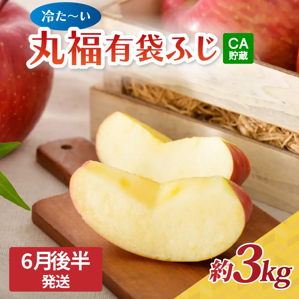【2026月6月後半発送】りんご 丸福 有袋ふじ 約3kg CA貯蔵 青森県 五所川原市