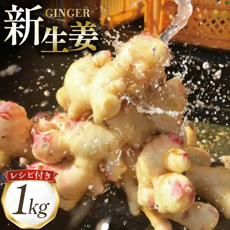 BI379 島原百年生姜 新生姜 1kg [ 長崎県 島原市 ]