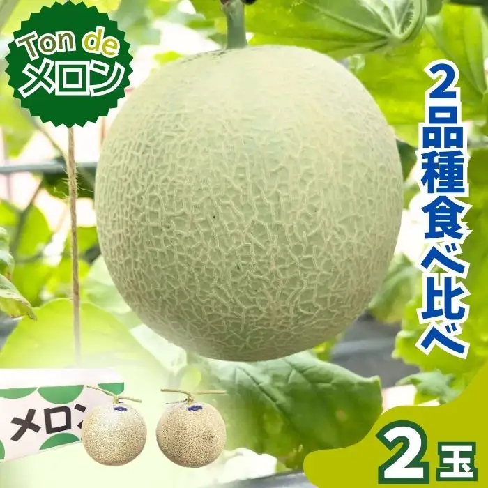 Ton de メロン 2品種食べ比べ♪【ペルルグリーンメロン アールスヴェルダメロン フルーツ 果物 食べ比べ 美味しい 甘い 芳醇 しっとり 上品 旬 ご褒美 ギフト 贈り物 ご自宅用 安来 島根県 安来市】【16-FA-03】