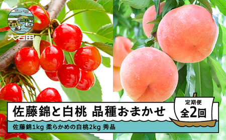 【先行予約】 2回定期便 令和8年産 さくらんぼ 佐藤錦 1kg 柔らかめの白桃 2kg 令和8年産 さくらんぼ 白桃 桃 もも 品種おまかせ 定期便 山形県産 令和8年産 フルーツ 果実  ry-ft2sh3000-s