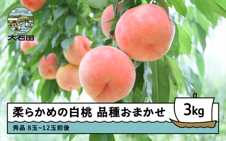 【先行予約】 桃 もも 柔らかめの白桃 品種おまかせ 3kg 山形県産 2026年産 令和8年産 フルーツ 果実 送料無料 ry-mohts3000