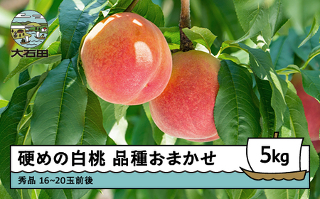 【先行予約】 桃 もも 硬めの白桃 品種おまかせ 5kg 山形県産 2026年産 令和8年産 フルーツ 果実 送料無料 ry-mohth5000