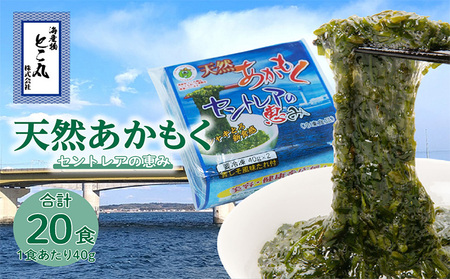 天然あかもくセントレアの恵み【2連パック×10】　あかもく アカモク ぎばさ ギバサ 海藻 食物繊維 冷凍 スーパーフード セントレア 海の恵み ふるさと納税 愛知県 常滑市
