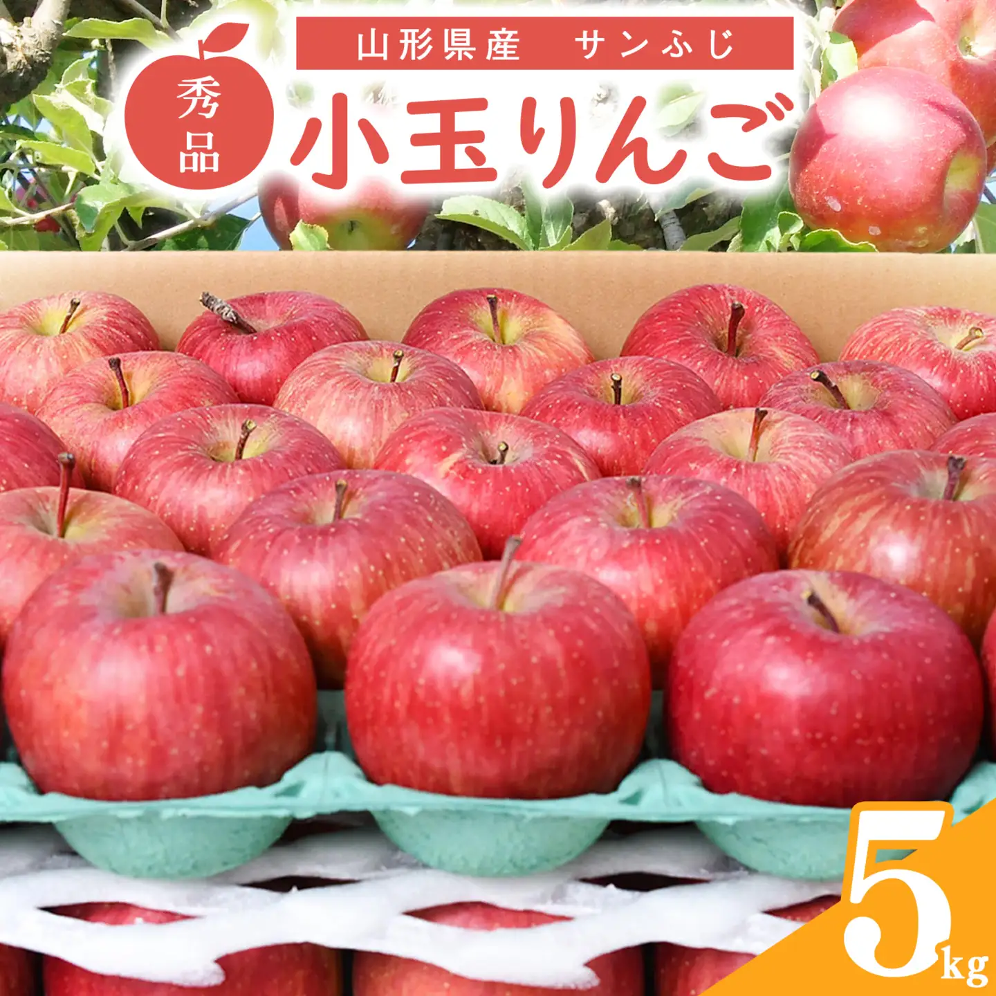 令和8年産 小玉りんご「サンふじ」5kg 秀品 山形県産【2027年1月上旬頃～下旬頃発送予定】　012-B-MM085