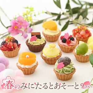 春のみにたるとアソート 9個入り＜フレッシュタルトのお店STYLE＞