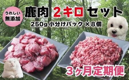【3回定期便】 森のジビエ for PET 鹿肉 2kg ペットフード 犬 猫 A-JK-B02H