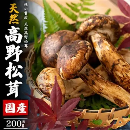 国産　天然高野松茸　約200g  2026年出荷_野菜 松茸 きのこ まつたけ マツタケ_【配送不可地域：離島・北海道・沖縄県】【1601023】
