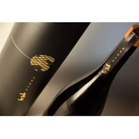 真上 AEGIS_酒・アルコール 純米大吟醸 日本酒 sake サケ_【配送不可地域：離島・沖縄県】【1602910】