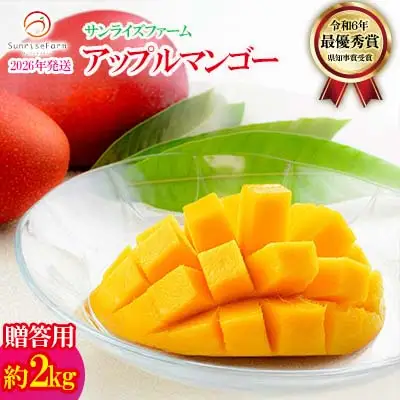 マンゴー【2026年発送】令和6年最優秀賞サンライズファーム マンゴー贈答用 約2kg