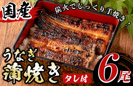 国産！うなぎ蒲焼き(6尾・タレ付き) 国産 九州産 鹿児島県 宮崎県 鰻 ウナギ unagi うな重 うな丼 ひつまぶし うなじゅう 蒲焼 かばやき 白焼 しらやき 無頭 魚 魚介類 土用 丑の日 タレ タレ付 おかず 惣菜 冷蔵 特産品 お土産 ギフト プレゼント ご贈答用 【尾方屋】_y512