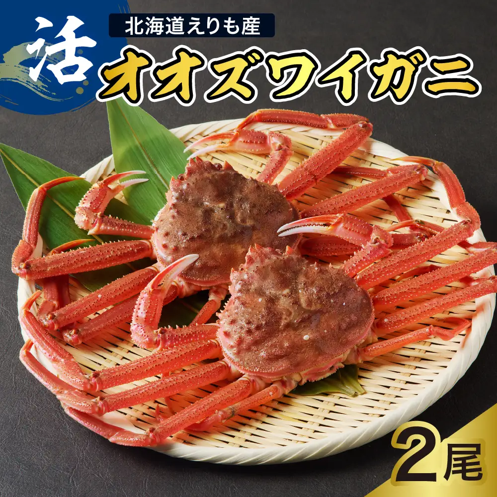 活オオズワイガニ2尾【えりも産】【er004-008-e】活 オオズワイガニ 1尾あたり 大ズワイ 大ズワイガニ ズワイガニ ズワイ かに 蟹 魚介 海鮮 新鮮 生 人気 送料無料 国産 道産 北海道産 北海道 えりも産 襟裳